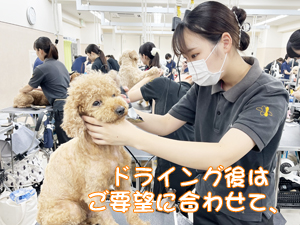 お客様の愛犬をトリミング♪